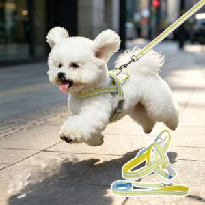 PawLuxe No-Pull Dog Harness - Breathable Mesh